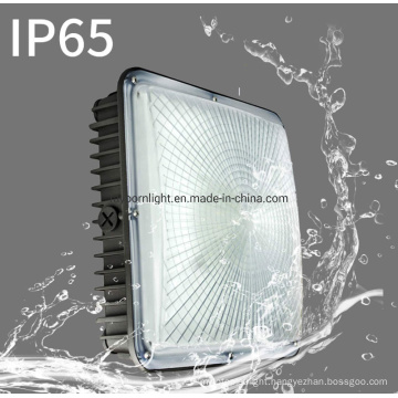 High Quality IP65 Die-Casting Aluminum Alloy LED Canopy Light 80W